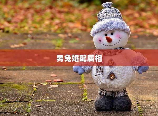 男兔婚配属相