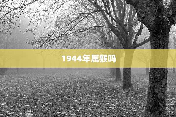 1944年属猴吗