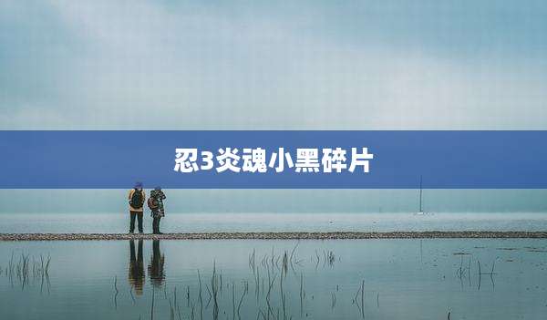 忍3炎魂小黑碎片