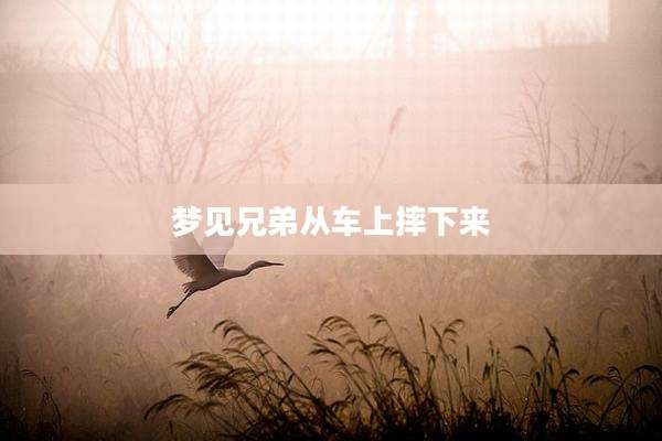 梦见兄弟从车上摔下来