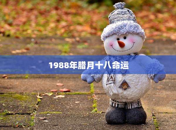 1988年腊月十八命运