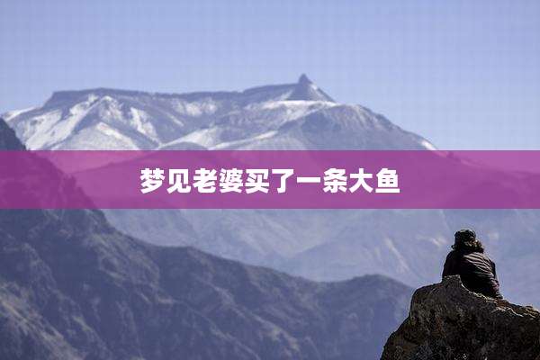 梦见老婆买了一条大鱼