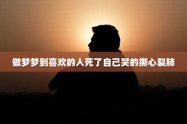 做梦梦到喜欢的人死了自己哭的撕心裂肺