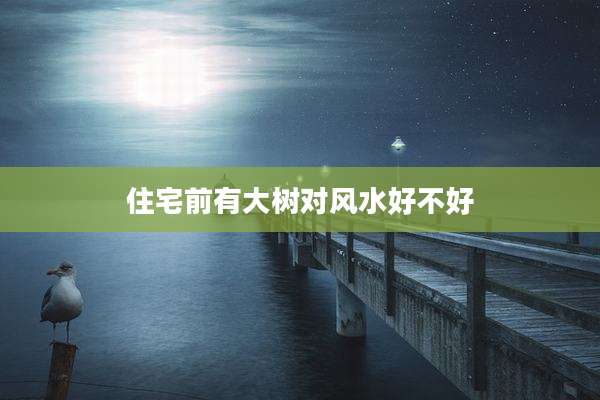住宅前有大树对风水好不好