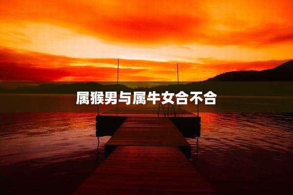 属猴男与属牛女合不合