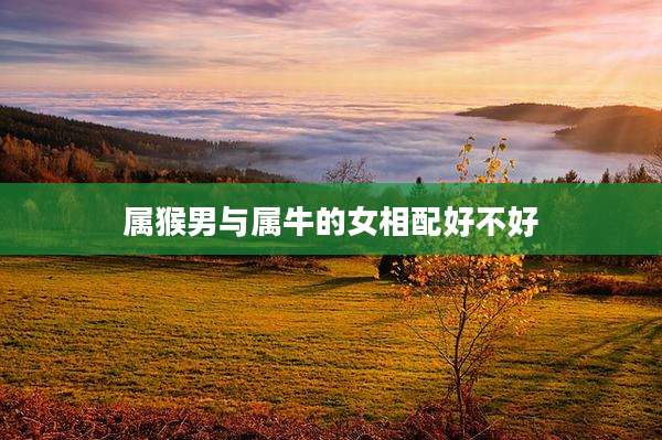 属猴男与属牛的女相配好不好