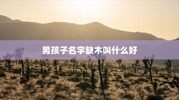 男孩子名字缺木叫什么好