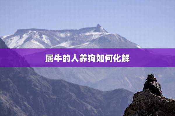 属牛的人养狗如何化解