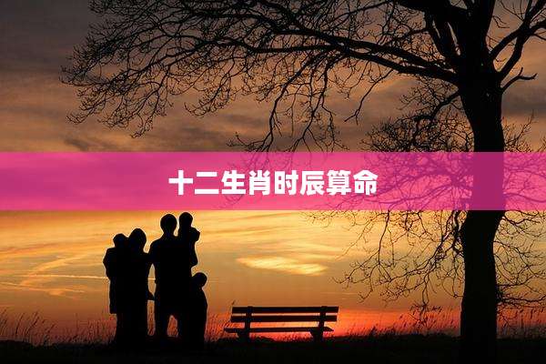 十二生肖时辰算命