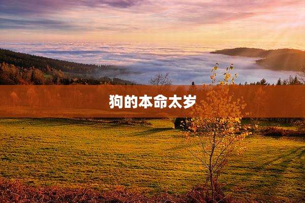 狗的本命太岁