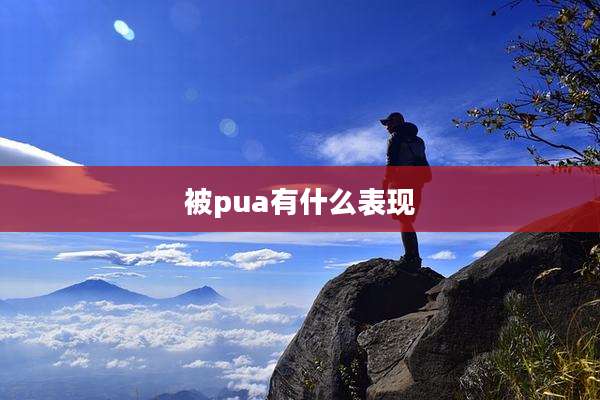 被pua有什么表现