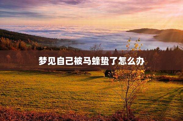 梦见自己被马蜂蛰了怎么办