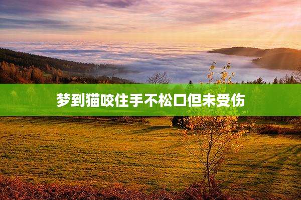 梦到猫咬住手不松口但未受伤