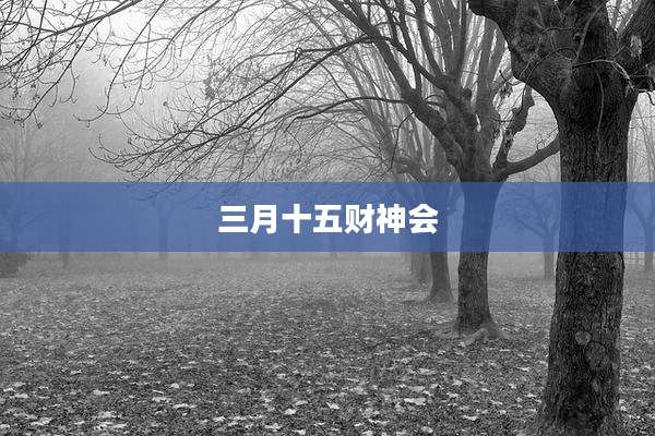 三月十五财神会
