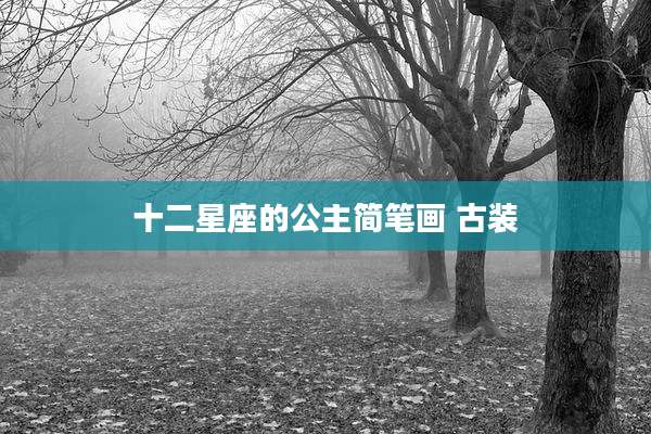 十二星座的公主简笔画 古装