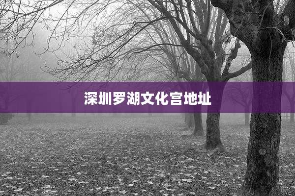 深圳罗湖文化宫地址