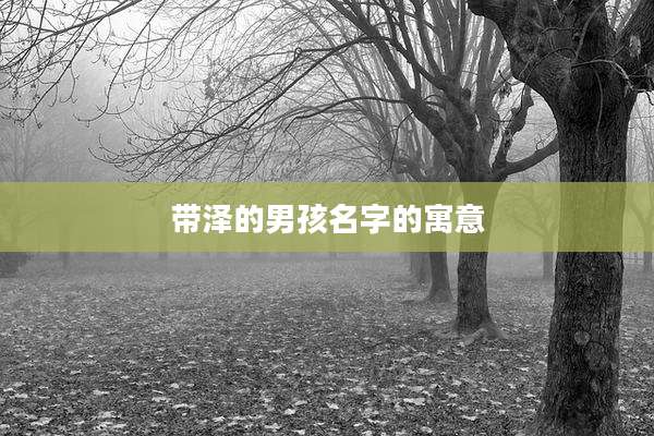 带泽的男孩名字的寓意