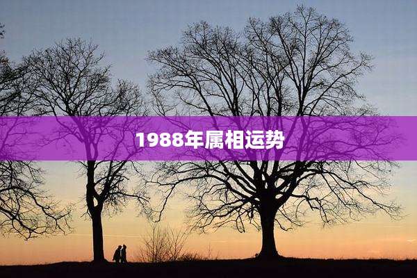 1988年属相运势