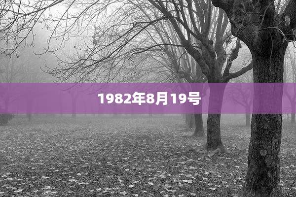 1982年8月19号