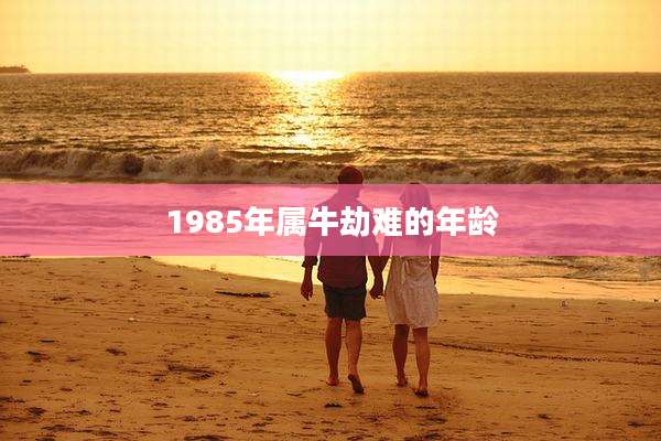 1985年属牛劫难的年龄