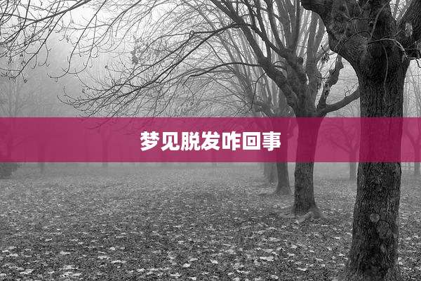 梦见脱发咋回事