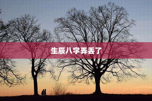 生辰八字弄丢了