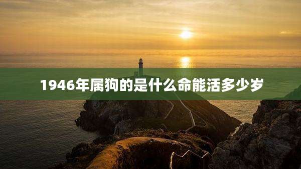 1946年属狗的是什么命能活多少岁