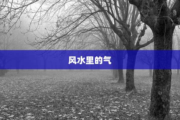 风水里的气
