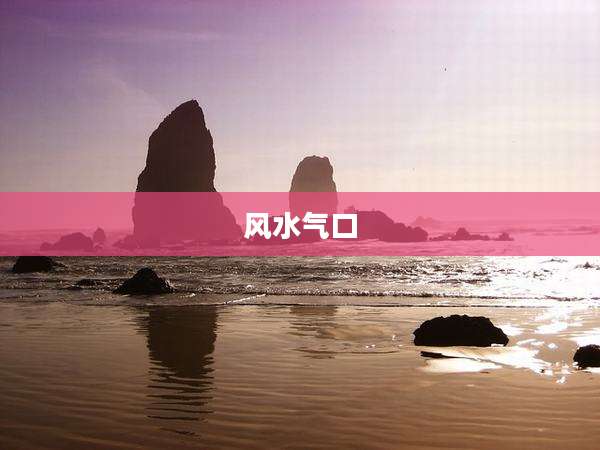 风水气口