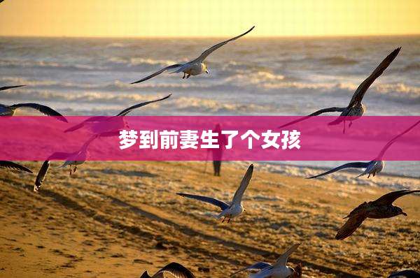 梦到前妻生了个女孩