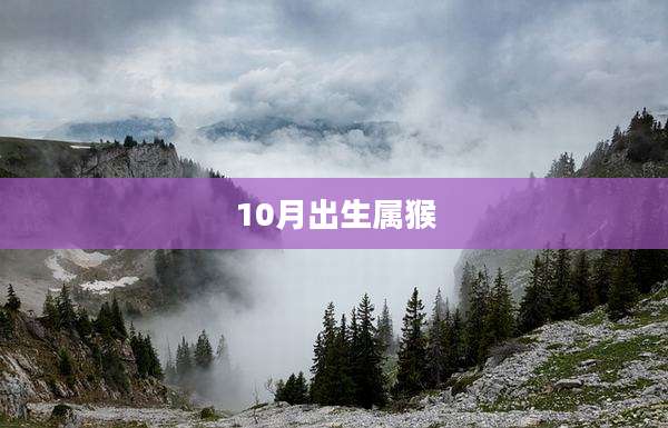 10月出生属猴