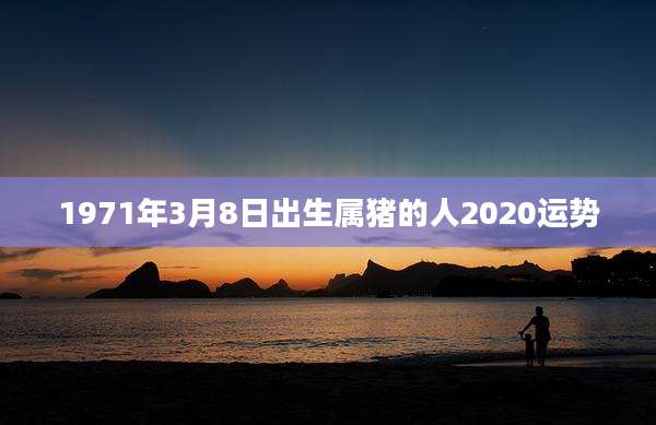 1971年3月8日出生属猪的人2020运势