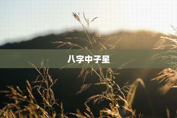 八字中子星