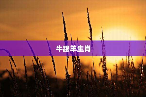 牛跟羊生肖