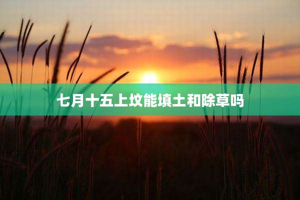 七月十五上坟能填土和除草吗