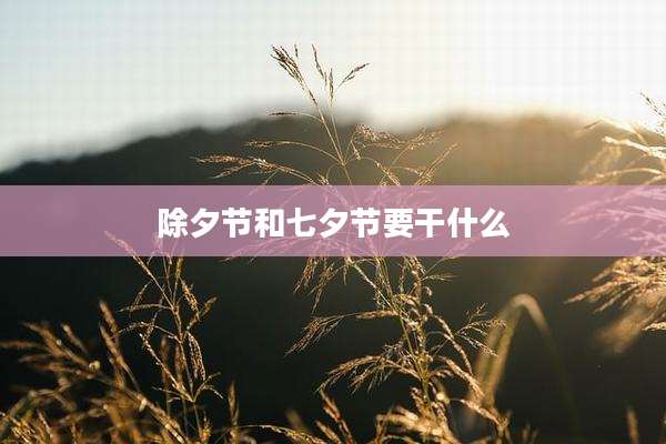 除夕节和七夕节要干什么