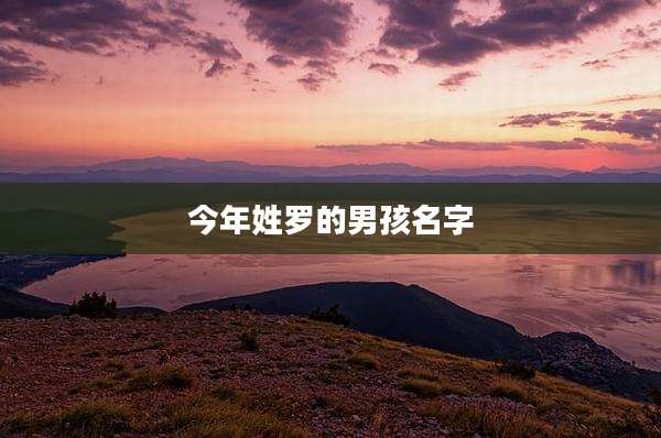 今年姓罗的男孩名字