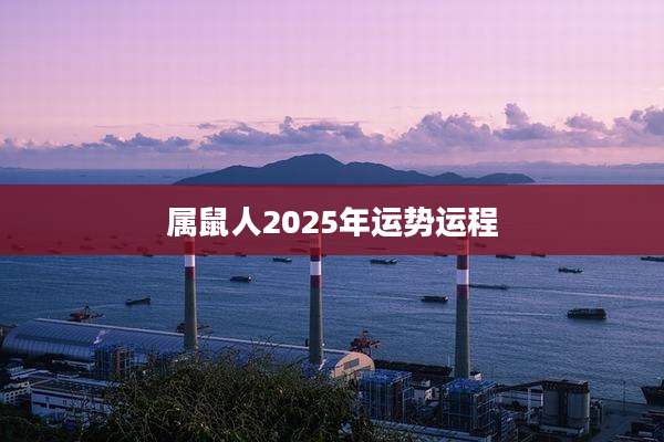 属鼠人2025年运势运程