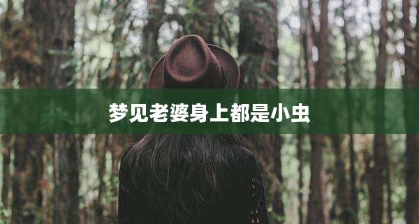 梦见老婆身上都是小虫
