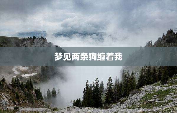 梦见两条狗缠着我