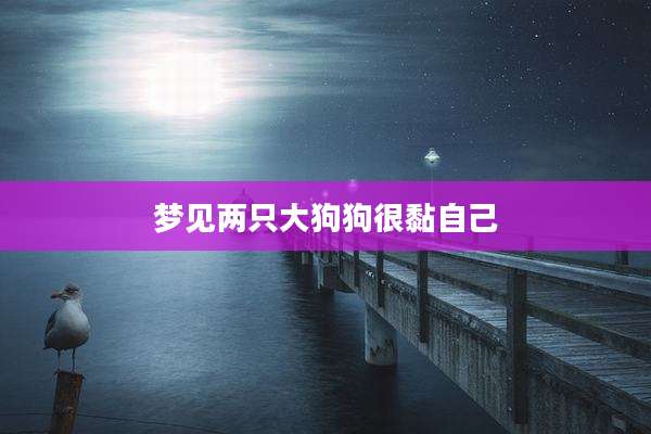 梦见两只大狗狗很黏自己