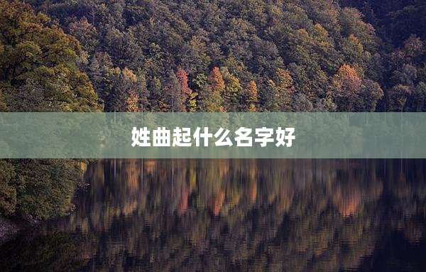 姓曲起什么名字好