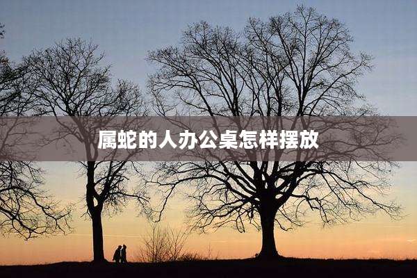 属蛇的人办公桌怎样摆放