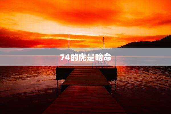 74的虎是啥命