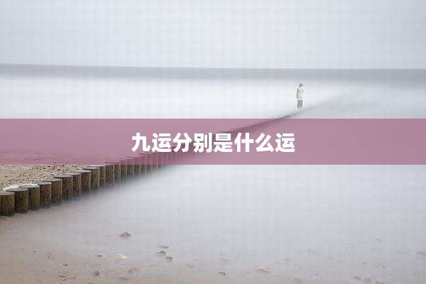 九运分别是什么运