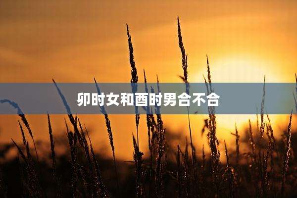 卯时女和酉时男合不合