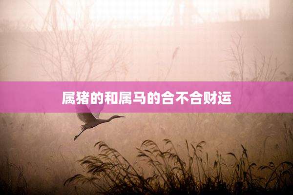 属猪的和属马的合不合财运