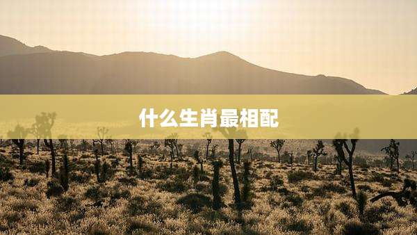什么生肖最相配