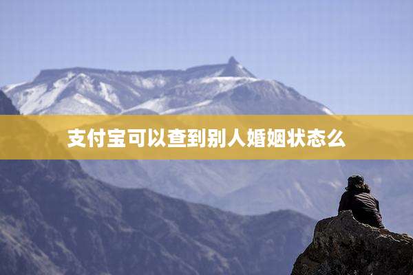 支付宝可以查到别人婚姻状态么