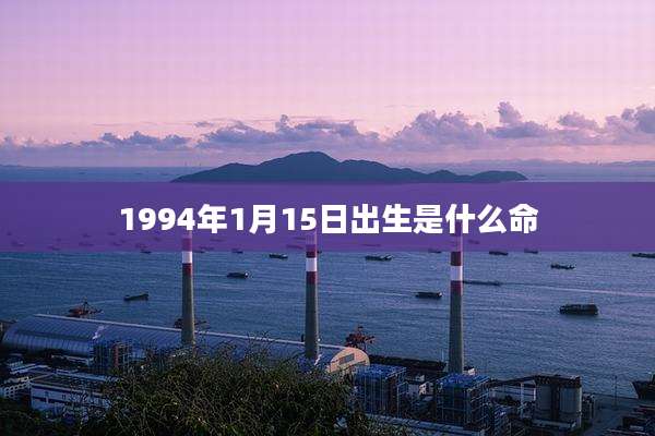 1994年1月15日出生是什么命